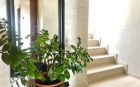 Angulo House
